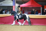 SBM_05453