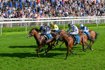 060926-Race 5-Extremely Zain-0329