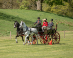 Attelage -703