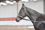 JAC_6589