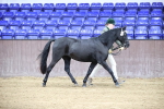 SBM_5421