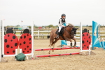 SBM_007288