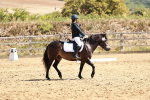 SBM_001706
