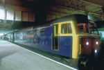 31st July 1984