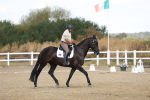 SBM_008591