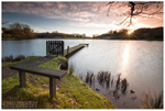 Dungannon Park (IMG0508)
