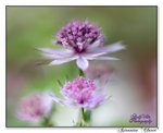 190614-untitled-1L4A1914-Edit