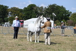 WJ6_4735