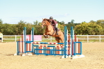 SBM_000447
