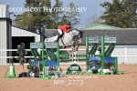 BPP_2773