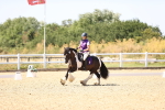 SBM_012329