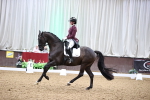 SBM_009303