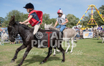Donkey Derby_2016-20