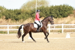 SBM_008691
