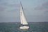 161022 SYLPHE GBR7456T - BENETEAU Y92A8682