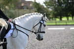 WJ7_8873