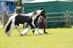 SBM_05544