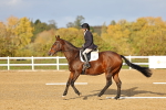 SBM_002709