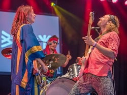 Womad 2018 portfolio