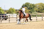 SBM_001637