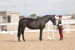 SBM_04911