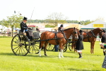 SBM_01273