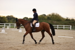SBM_000291