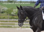 BPP_6594
