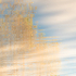 UPON REFLECTION #2 - LONG POINT