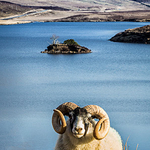 Scotland - 011