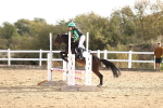 SBM_000495