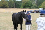 WJ6_6330