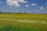 Kiskunság National Park, Hungary