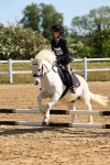 SBM_006726