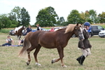 WJ6_6163