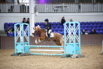 SBM_001811