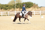 SBM_017050