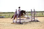 SBM_001003