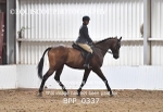 BPP_0337