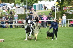 SBM_46943