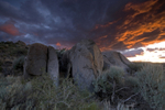 Photo of the Week 6/25/2012