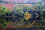 Injebreck reflections
