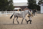 SBM_23431