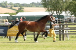 SBM_02213