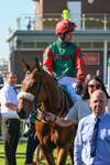180524-Race 6-Diamondonthehill-Yorkshire-9863