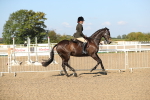 SBM_02228