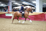 SBM_18923
