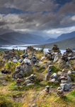 Glen Garry Cairns (portrait)