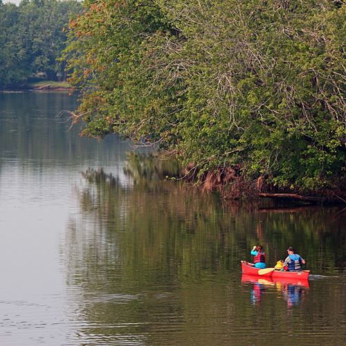 A canoe glides along the Kennebecasis near Hampton, New Brunswick.