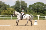 SBM_002058